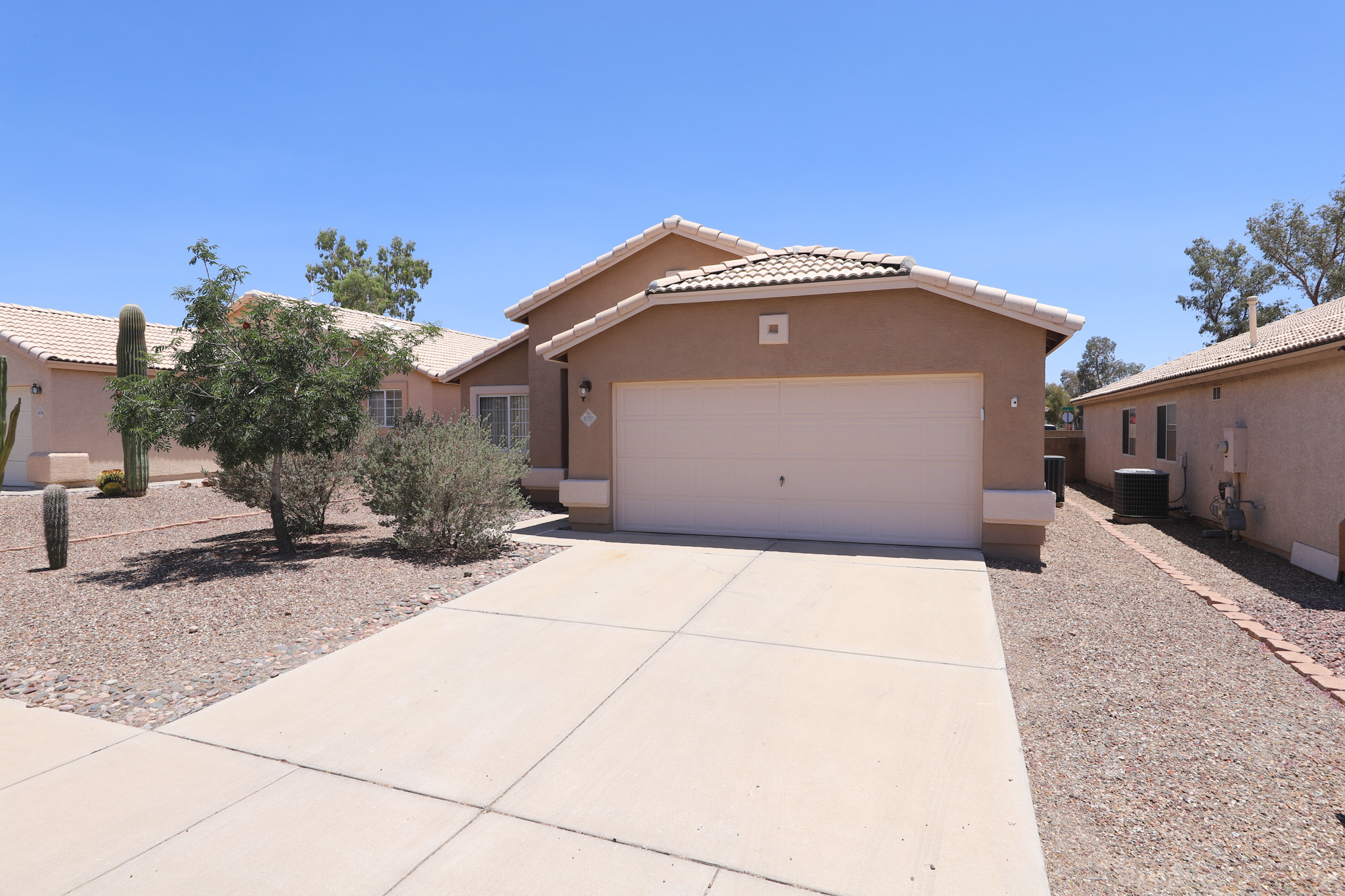 8070 North Wild Aster Way